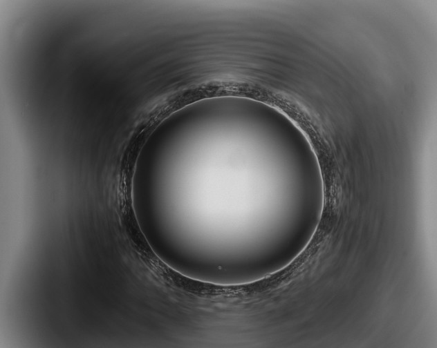 X0000087691062200705111316