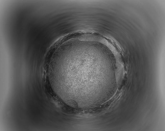 X0000087691064200705111316