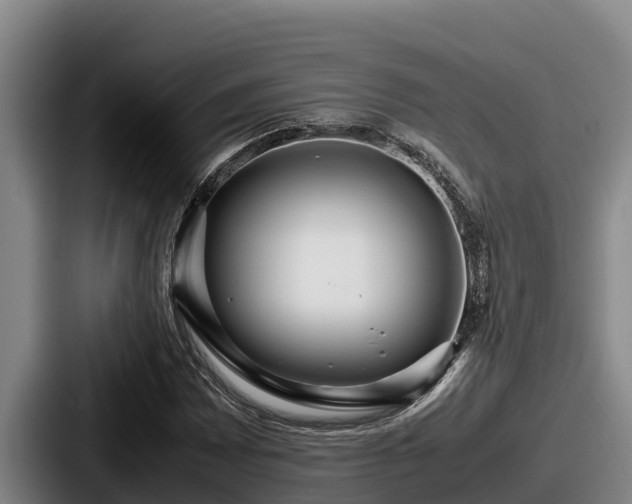 X0000087691065200705111316