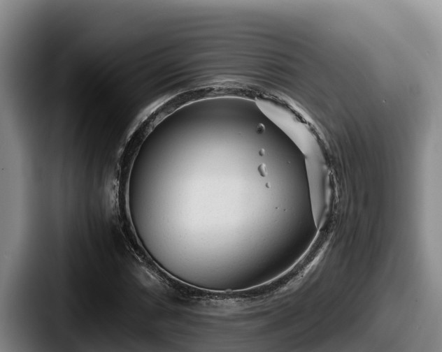 X0000087691066200705111316