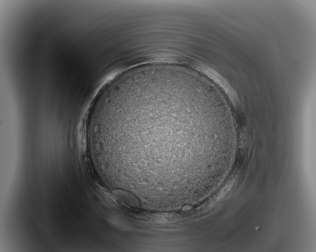 X0000087691067200705111316