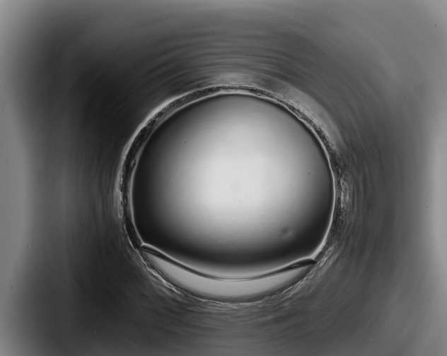 X0000087691068200705111316