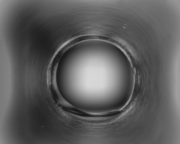 X0000087691069200705111316
