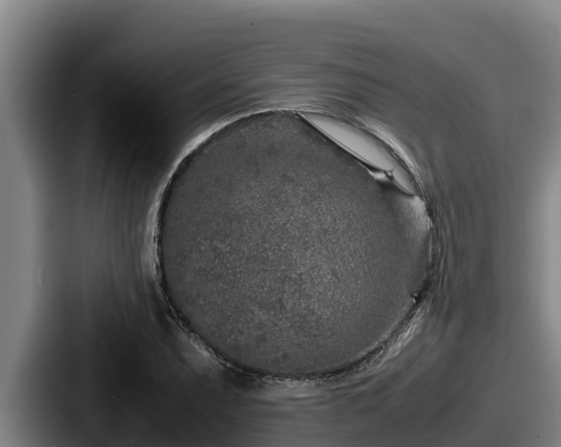 X0000087691071200705111316