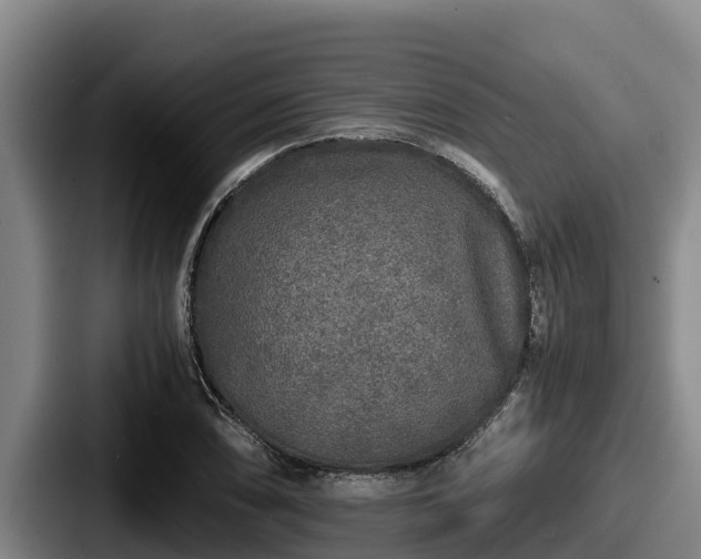 X0000087691074200705111316