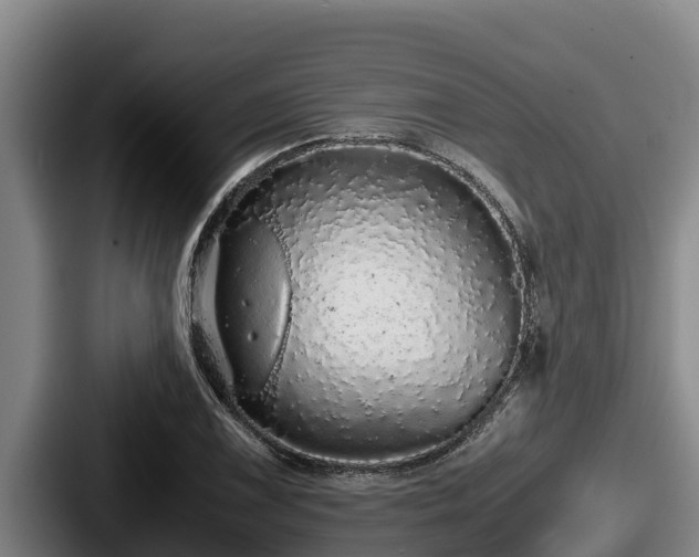 X0000087691075200705111316