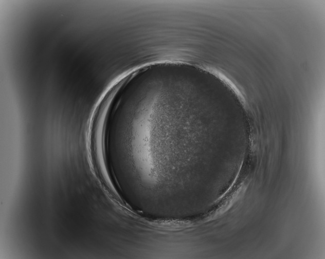 X0000087691077200705111316