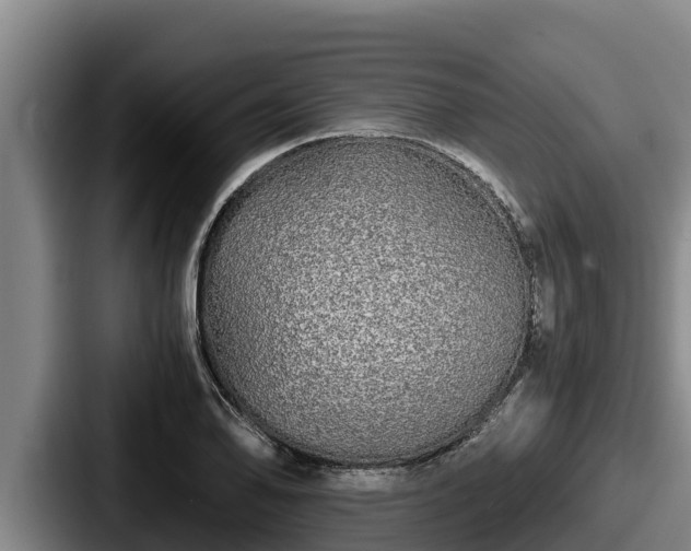 X0000087691078200705111316