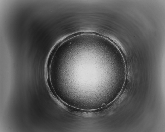 X0000087691080200705111316