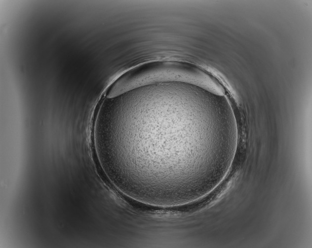 X0000087691081200705111316