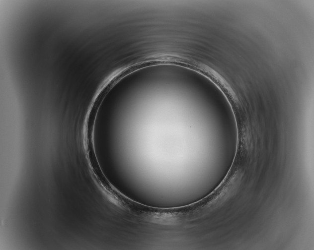 X0000087691082200705111316