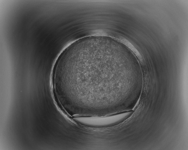 X0000087691084200705111315