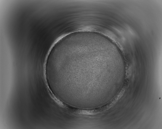 X0000087691086200705111315