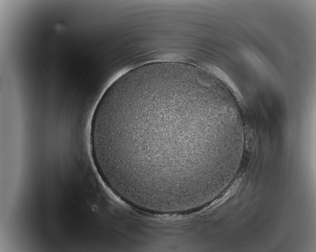 X0000087691087200705111315