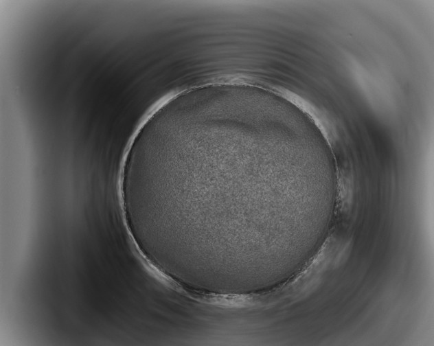 X0000087691090200705111315