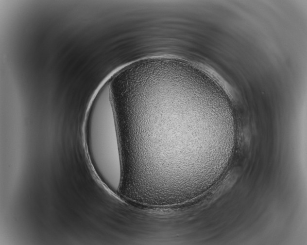 X0000087691092200705111315