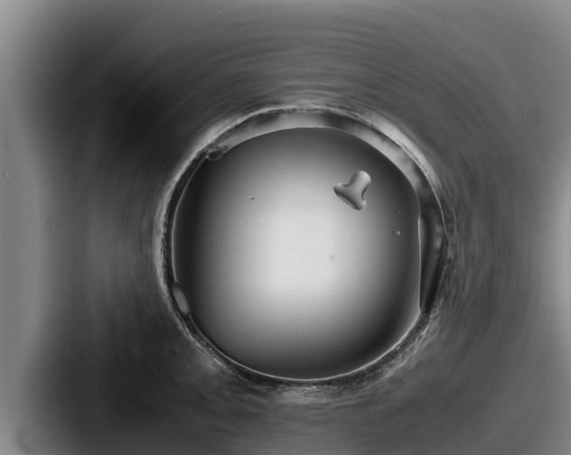 X0000087691093200705111315