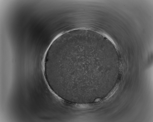 X0000087691095200705111315