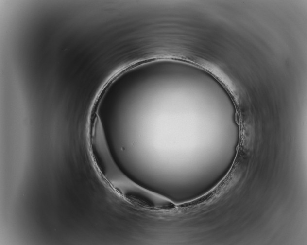 X0000087691096200705111315