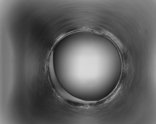X0000087691097200705111315