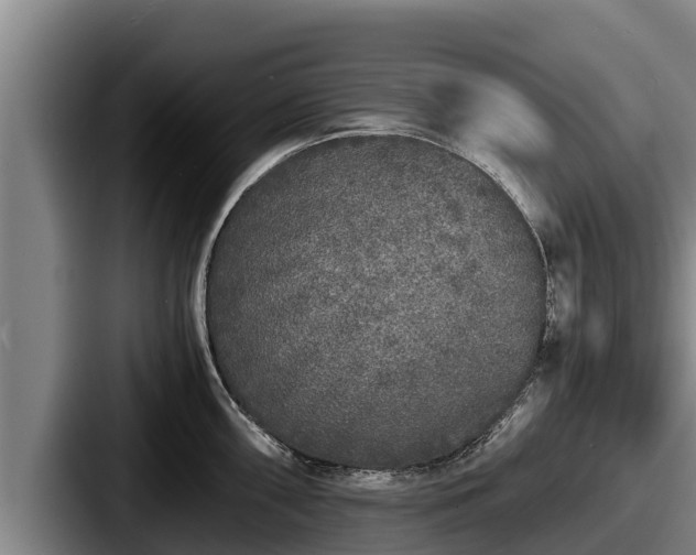 X0000087691098200705111315