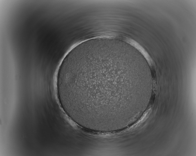 X0000087691099200705111315