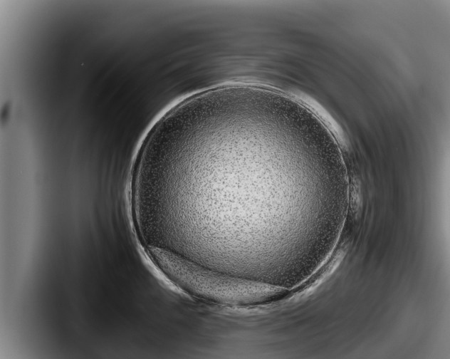 X0000087691100200705111315