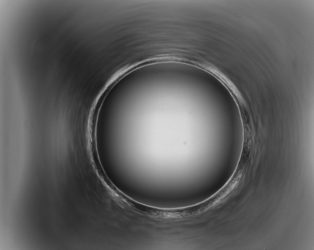 X0000087691101200705111315