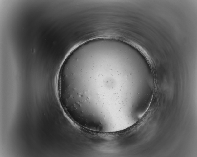 X0000087691103200705111315