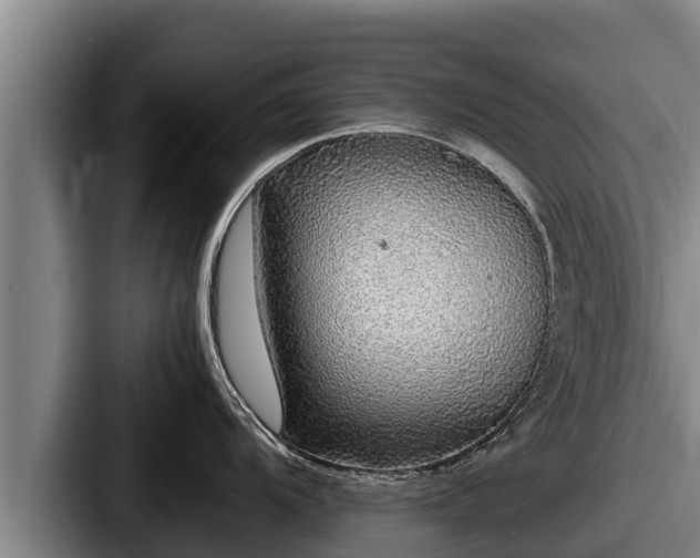 X0000087691104200705111315