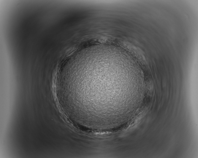 X0000087691105200705111315