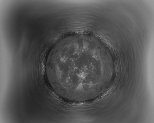 X0000087691106200705111315