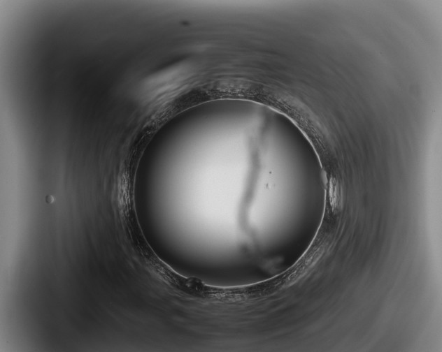 X0000087691107200705111315