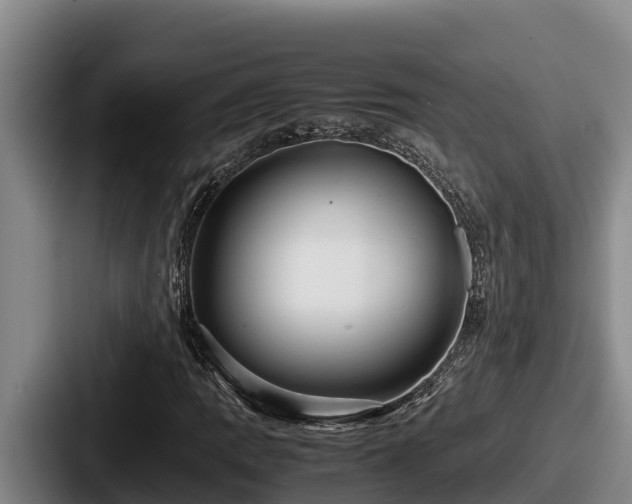 X0000087691109200705111315