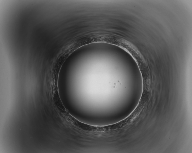 X0000087691111200705111315