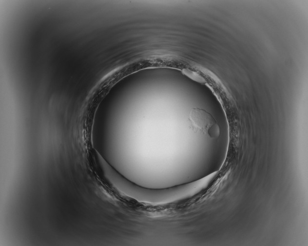 X0000087691112200705111315