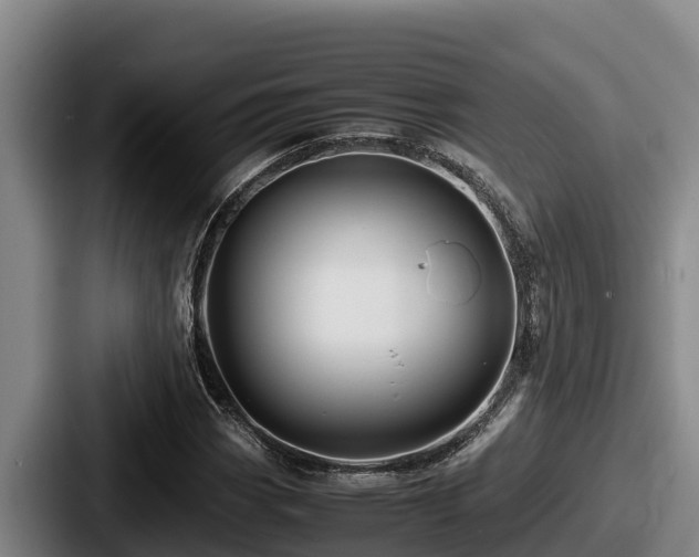X0000087691113200705111315