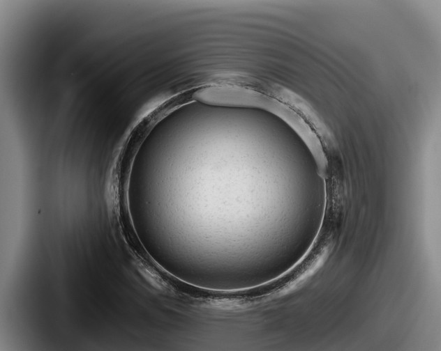 X0000087691114200705111315