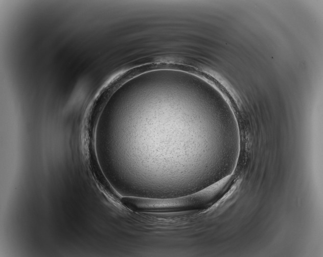 X0000087691115200705111315
