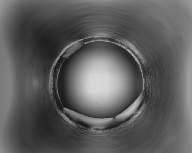 X0000087691116200705111315