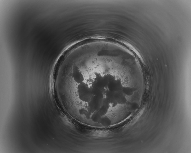 X0000087691117200705111315