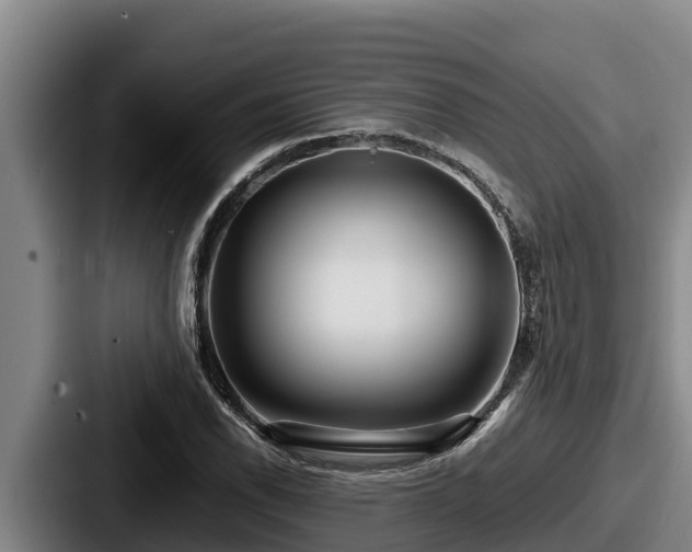 X0000087691118200705111315