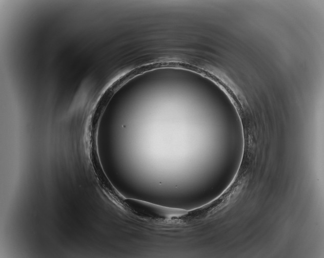 X0000087691119200705111315