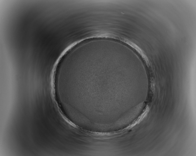 X0000087691120200705111315