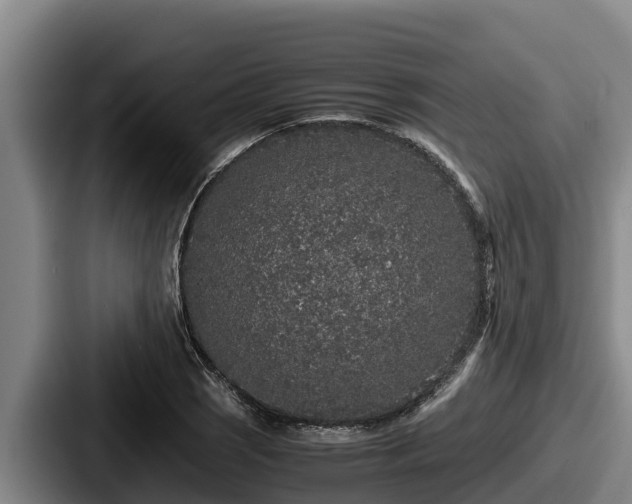 X0000087691121200705111315