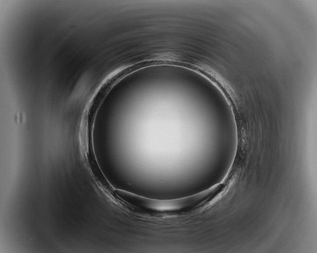 X0000087691123200705111315
