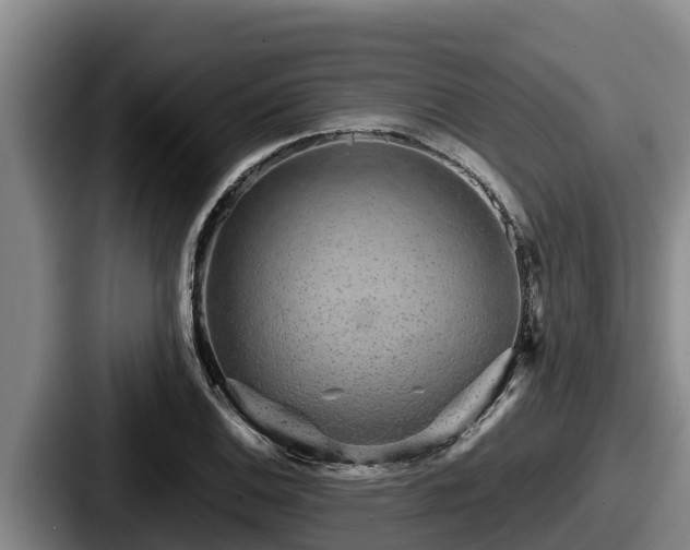 X0000087691124200705111315