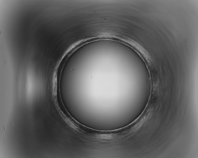 X0000087691126200705111315