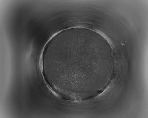 X0000087691127200705111315