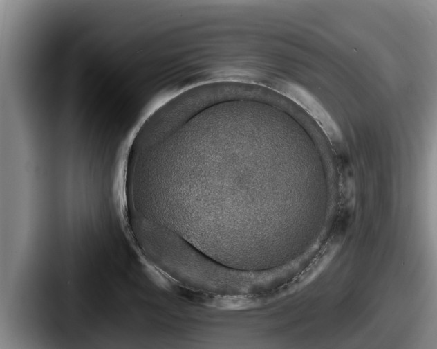 X0000087691128200705111315